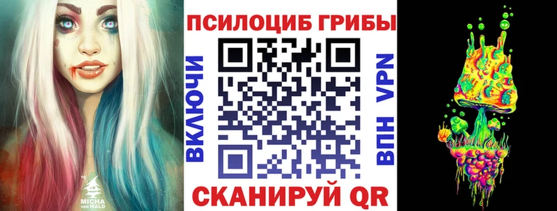 Купить где  Россошь  Галлюциногенные грибы Psilocybine cubensis 