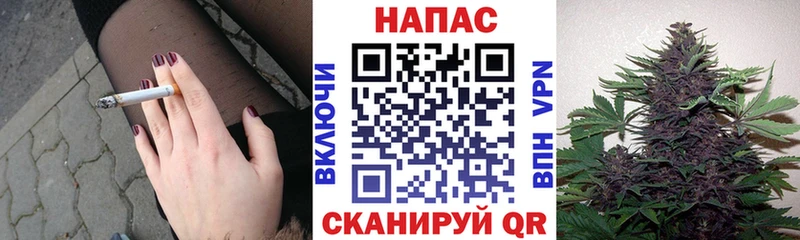 Купить  Россошь  Каннабис MAZAR 
